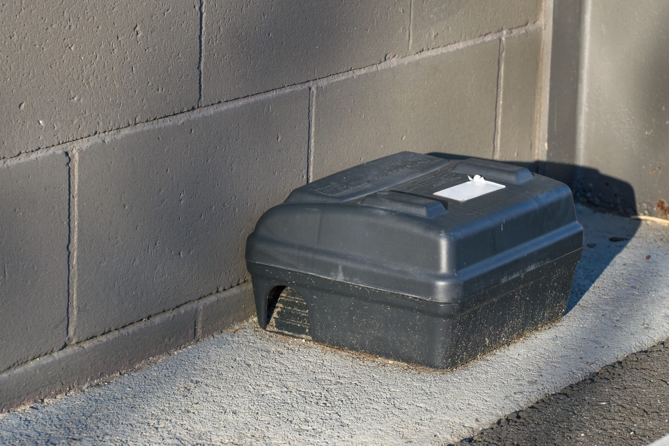 Mouse Bait Stations