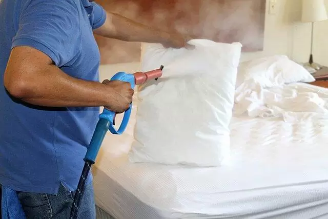 utilize a steamer