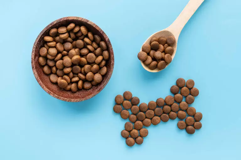 pet food 768x512