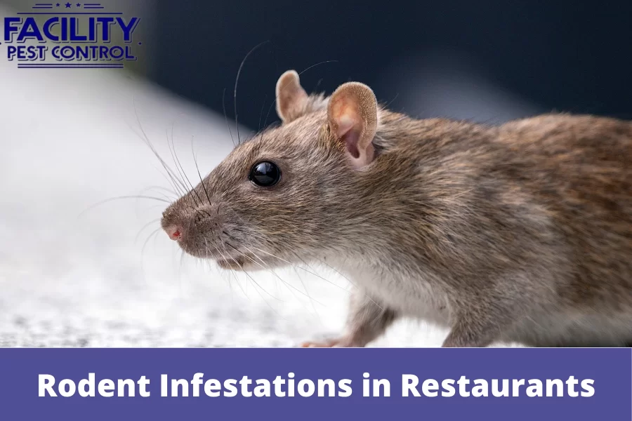 facilty pest (1)