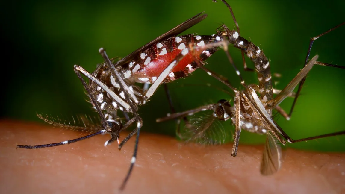 Malibu CA Pest Control