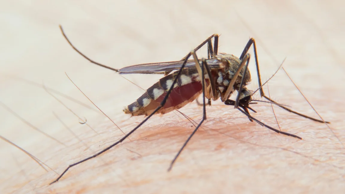 Thousand Oaks CA Pest Control